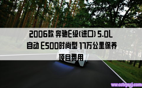 2006款 奔驰E级(进口) 5.0L 自动 E500时尚型 17万公里保养项目费用